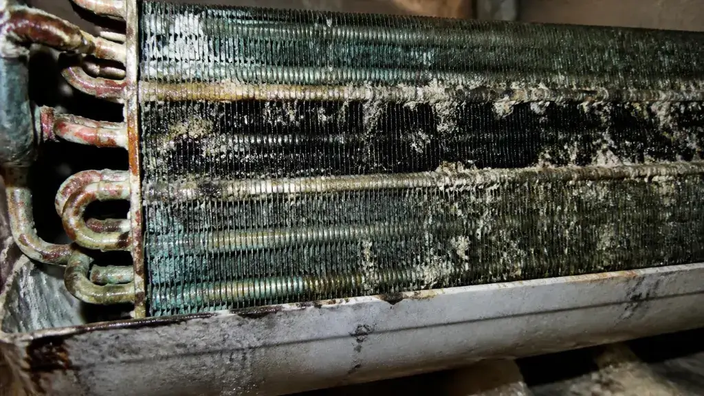 Mold-contaminated air conditioning evaporator coil showing salt air corrosion
and black mold growth in Lido Key home AC system